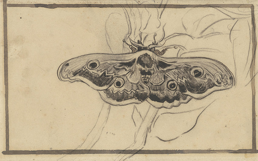 Vincent van Gogh - Giant Peacock Moth drawing